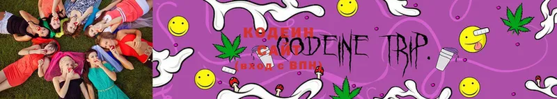 Кодеиновый сироп Lean Purple Drank  площадка официальный сайт  Порхов 