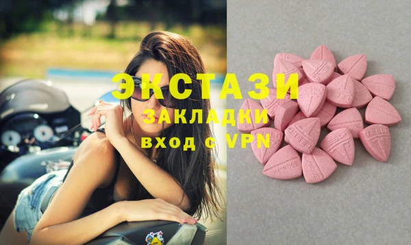 ECSTASY Богданович