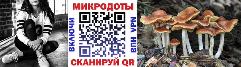 Галлюциногенные грибы ЛСД  купить наркоту  Порхов 