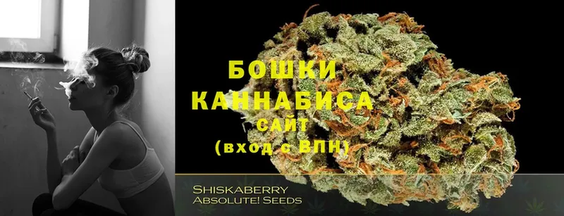 Бошки марихуана THC 21%  Порхов 